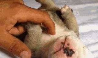 防空警报是什么意思 防空警报是什么意思