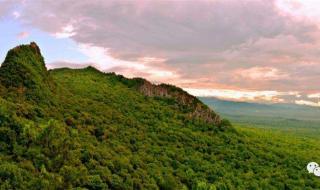 鸡头鸡尾指什么生肖